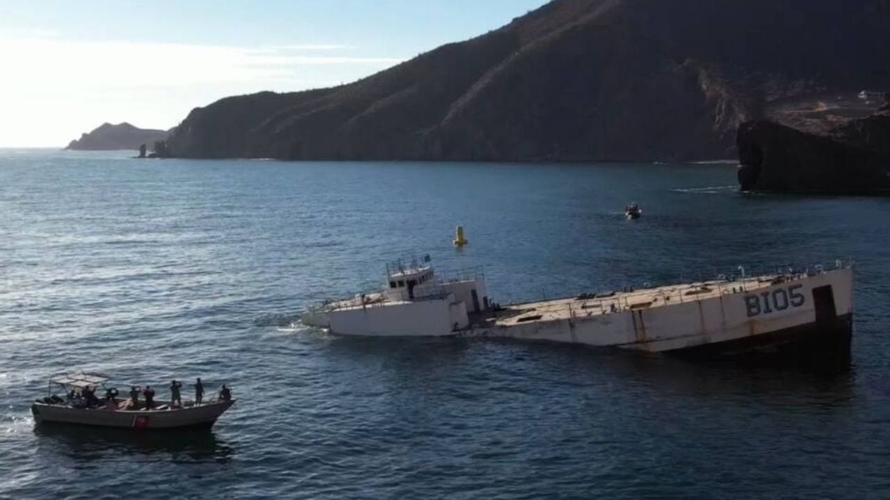 Hundirán dos buques en San Carlos; serán parte del Sistema Arrecifal Artificial Sonorense