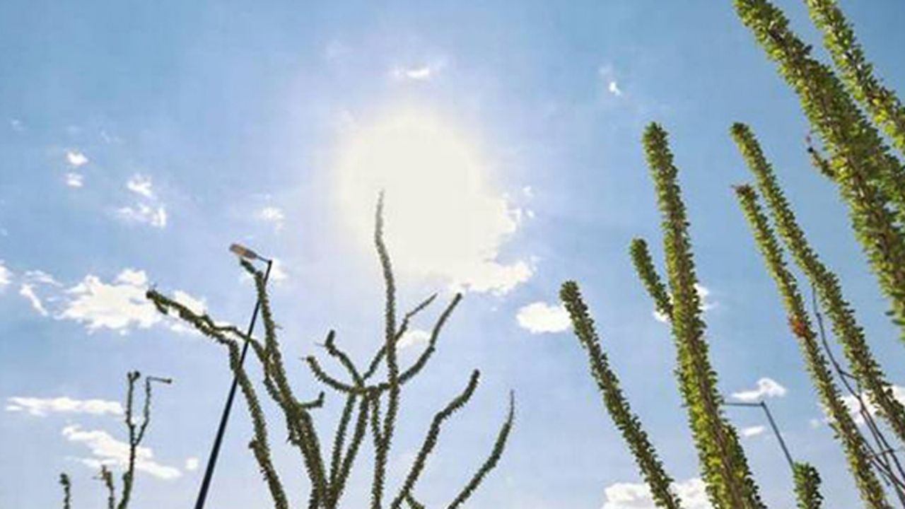 Clima en Sonora: CONAGUA advierte sobre altas temperaturas para este 24 de marzo del 2025