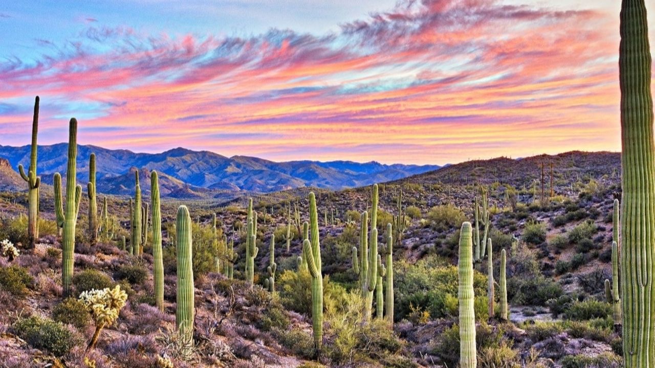 Clima en Sonora: CONAGUA revela el pronóstico del tiempo para este jueves 27 de marzo 2025