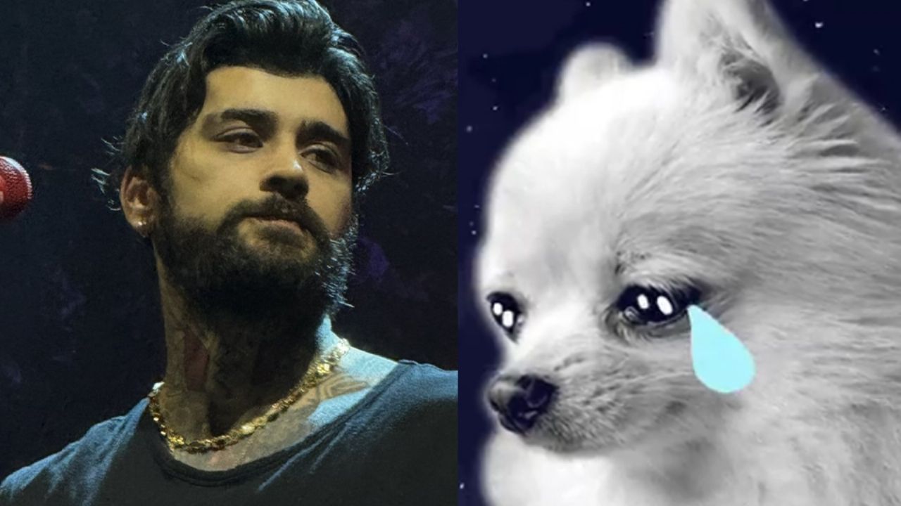 Zayn Malik cancela su tercer show en CDMX y se desatan los memes; asegura estar “muy mal”