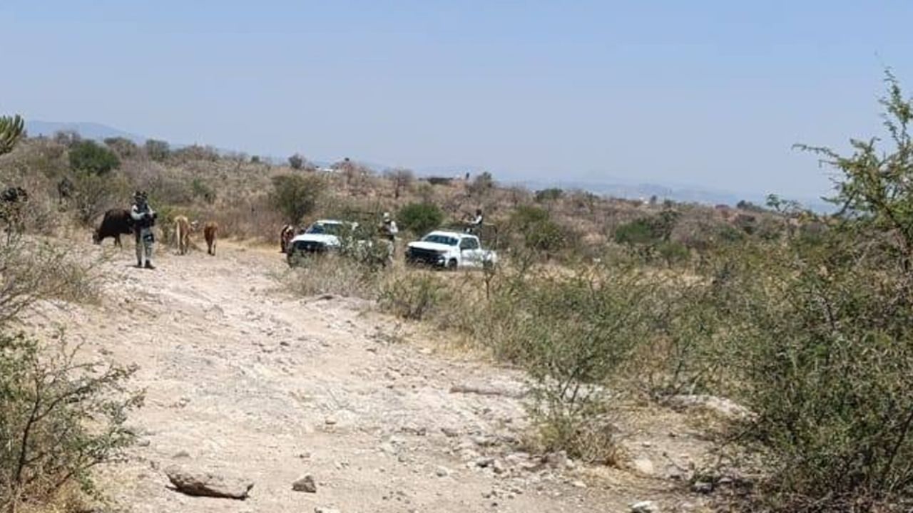 Hermosillo: Buscadoras de Sonora hallan restos humanos en fosas de San Pedro El Saucito