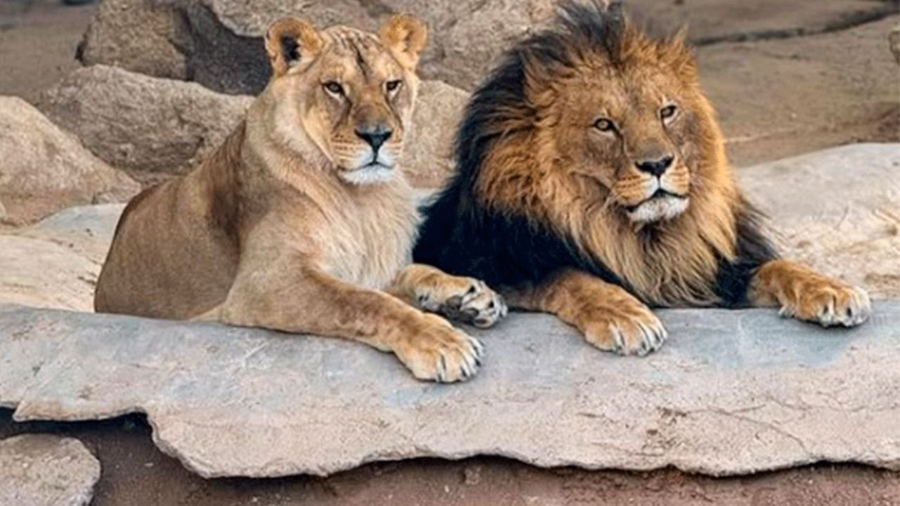 ¿Qué necesitas saber para visitar el Centro Ecológico de Sonora en Semana Santa?