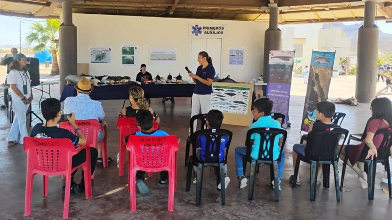 Vida marina en Guaymas: Imparten taller informativo sobre ballenas en playa Miramar