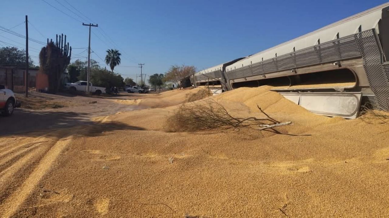 Familias viven bajo riesgo por su cercanía con las vías del tren en Navojoa