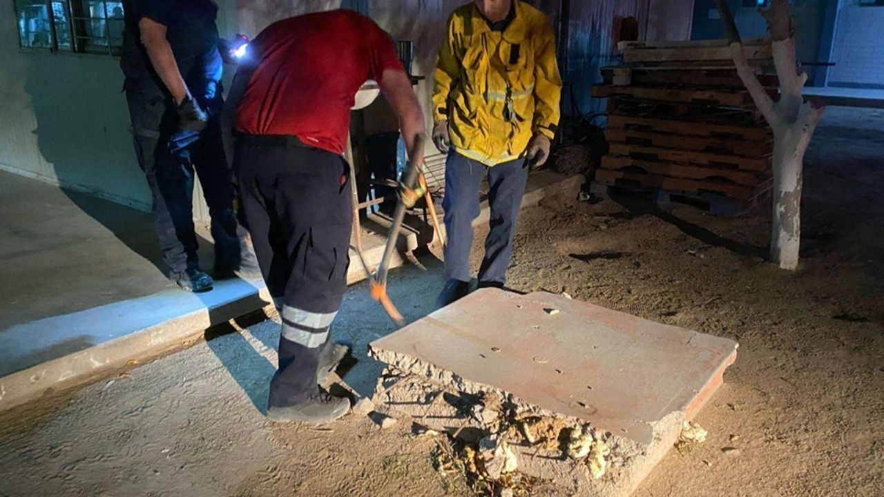 Bomberos retiran panel de abejas del Cobach Empalme, tras ataque a menores de edad