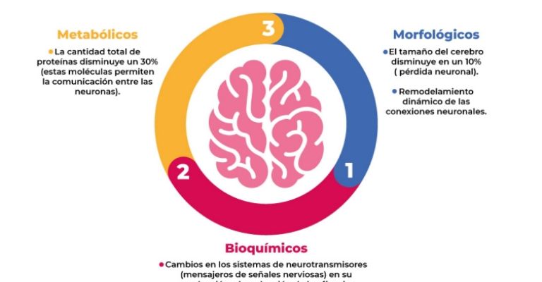 Actividades para mejorar la concentración y la memoria