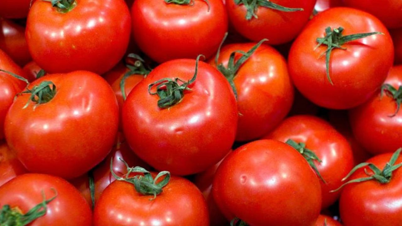 Sonora, de los estados mexicanos más afectados por aranceles al tomate de Trump
