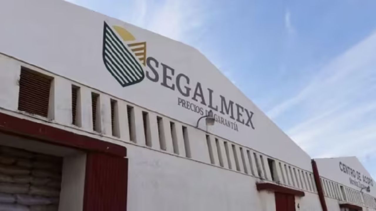 Detienen a Hugo Botello Carbonell, exdirectivo de Liconsa por fraude en Segalmex