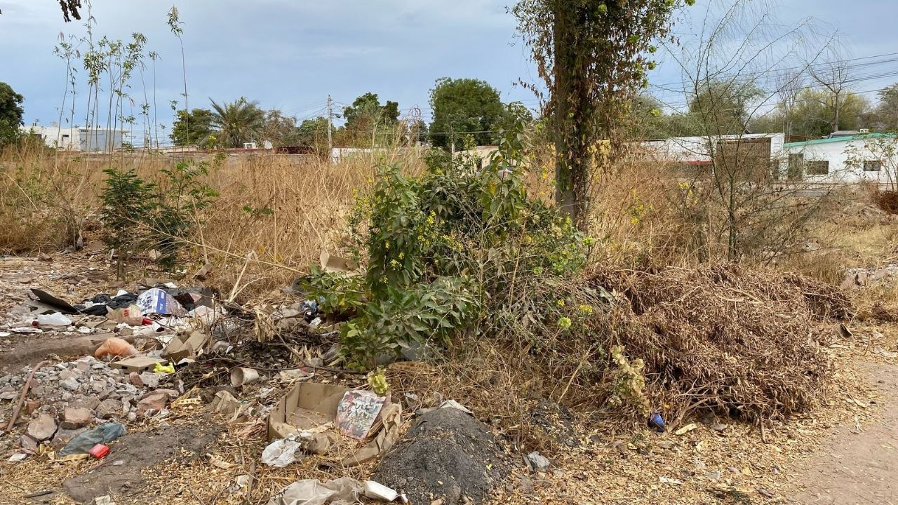 Vecinos de la colonia Constitución piden la visita de los carros fumigadores en Navojoa