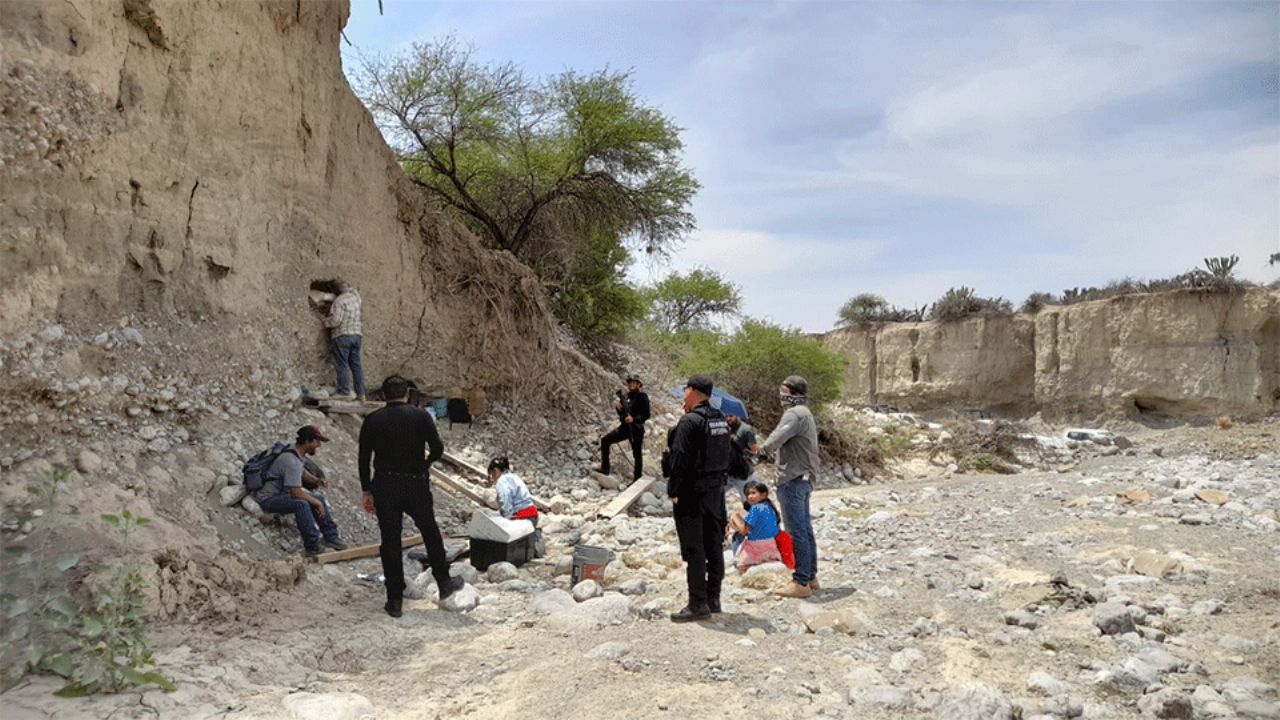 Entérate: Hallan supuestos restos fósiles de mamut en Tamaulipas; INAH ya investiga