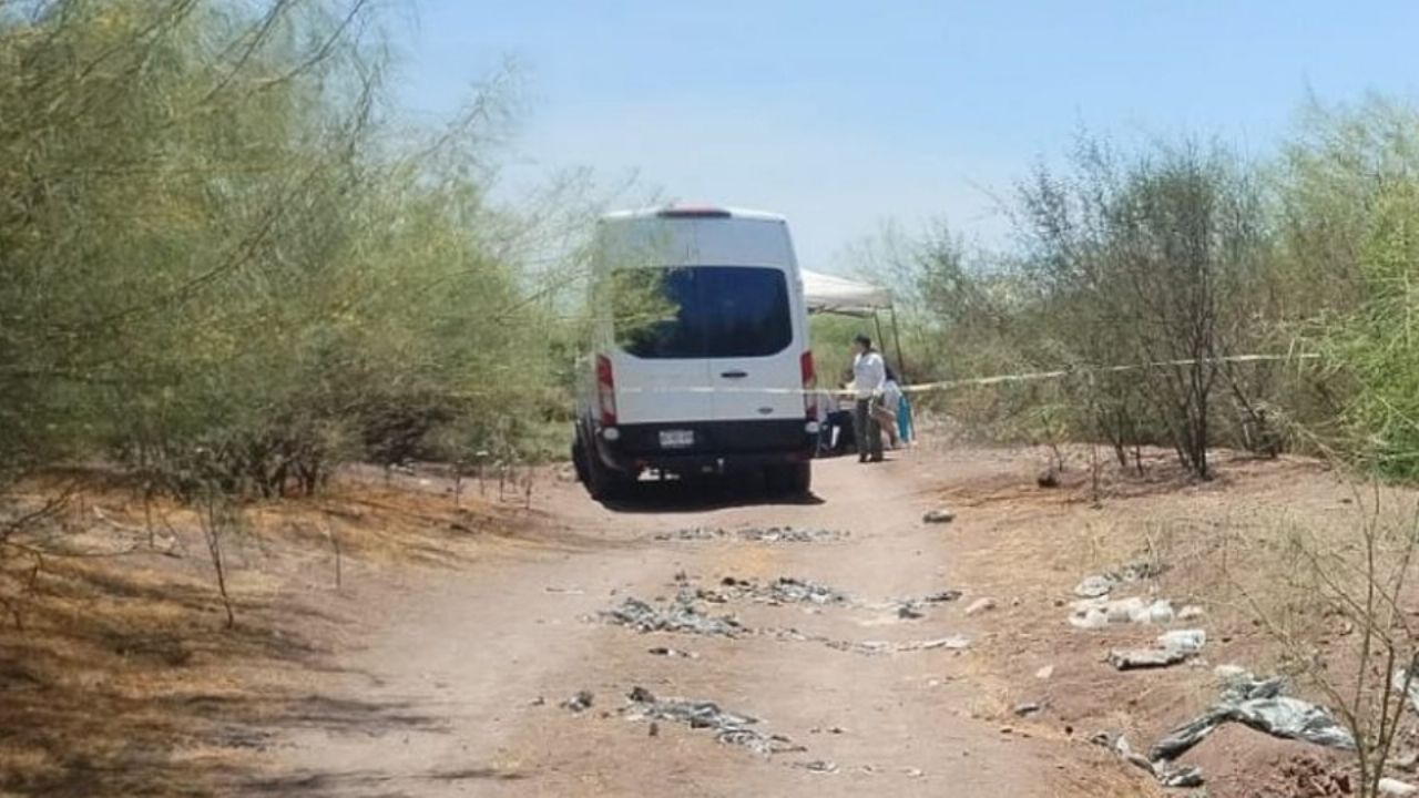 Cementerio clandestino en Culiacán: Colectivo halla 11 cuerpos enterrados en siete fosas