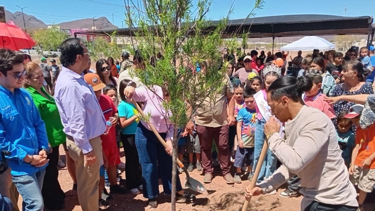 ‘Oxigenando Guaymas’: Ponen en marcha reforestación en el puerto con 10 mil árboles