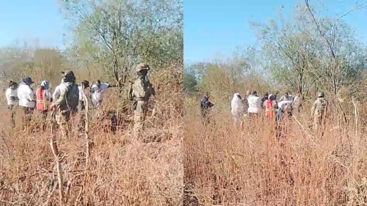 Guerreras Buscadoras hallan cuatro cuerpos en Puente de Picos, al norte de Ciudad Obregón
