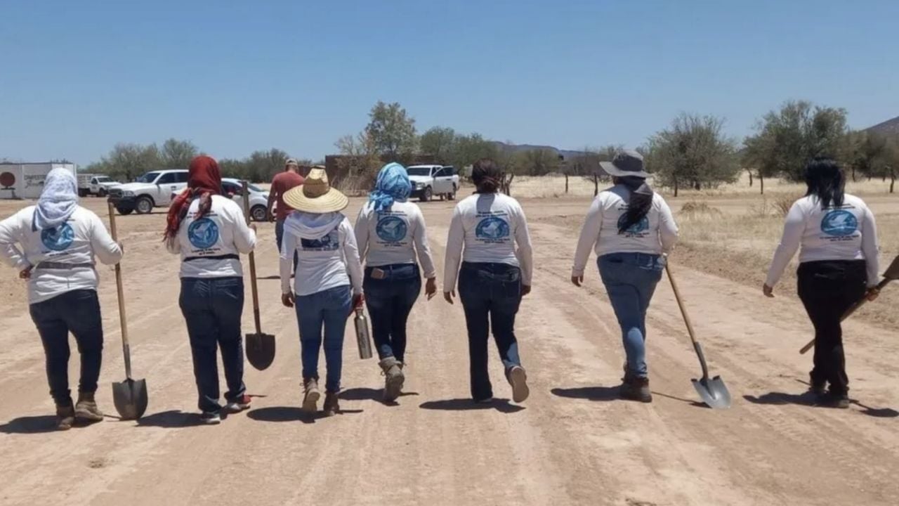 Nuevo homicidio en Hermosillo: Localizan cuerpo sin vida tirado en la carretera 26