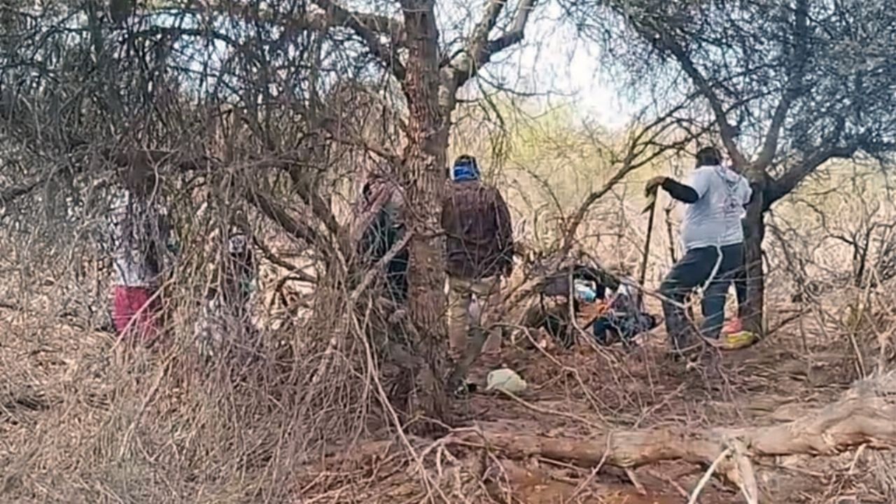 Hallan fosa con cuatro cuerpos en San Ignacio Río Muerto; una mujer entre las víctimas