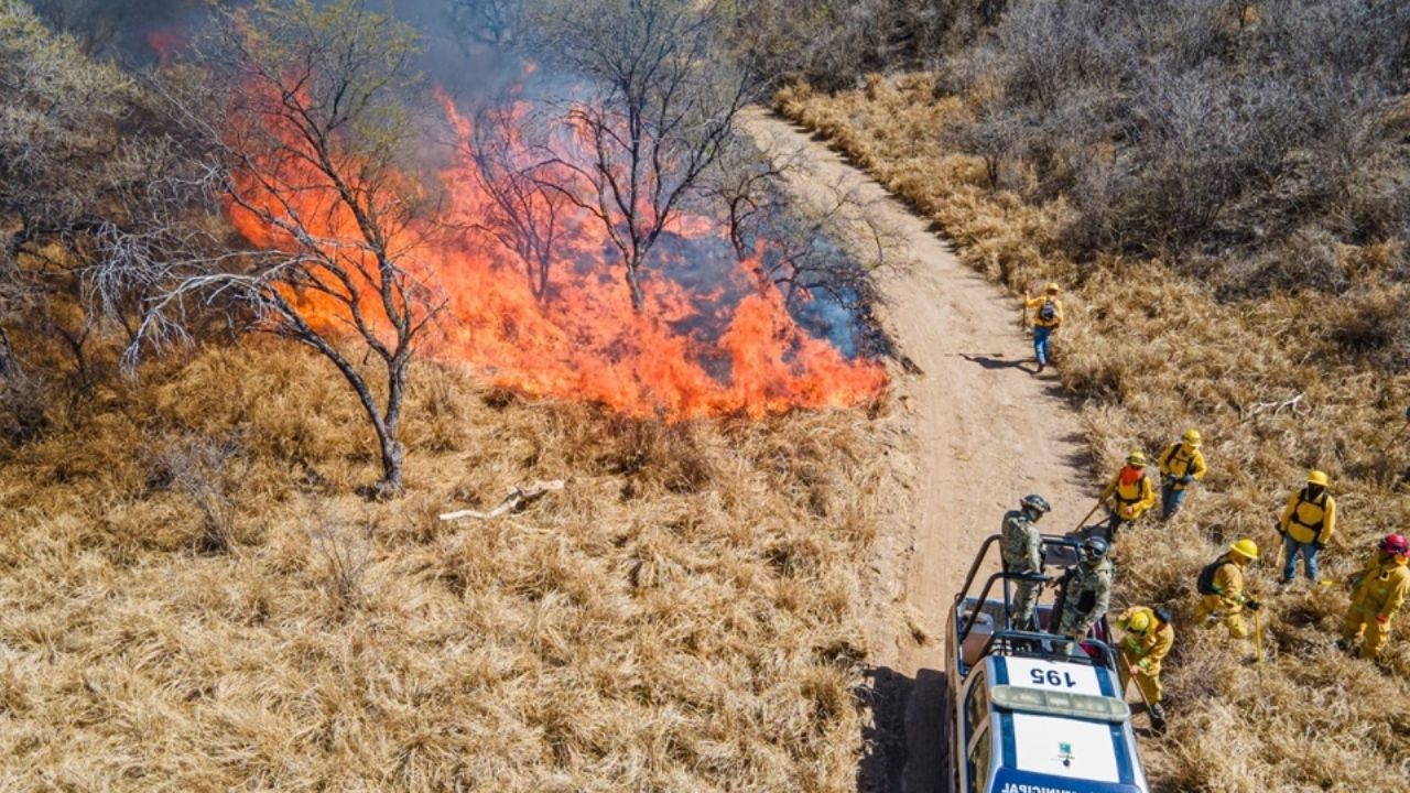 Protección Civil de Guaymas se capacita para atender los incendios forestales
