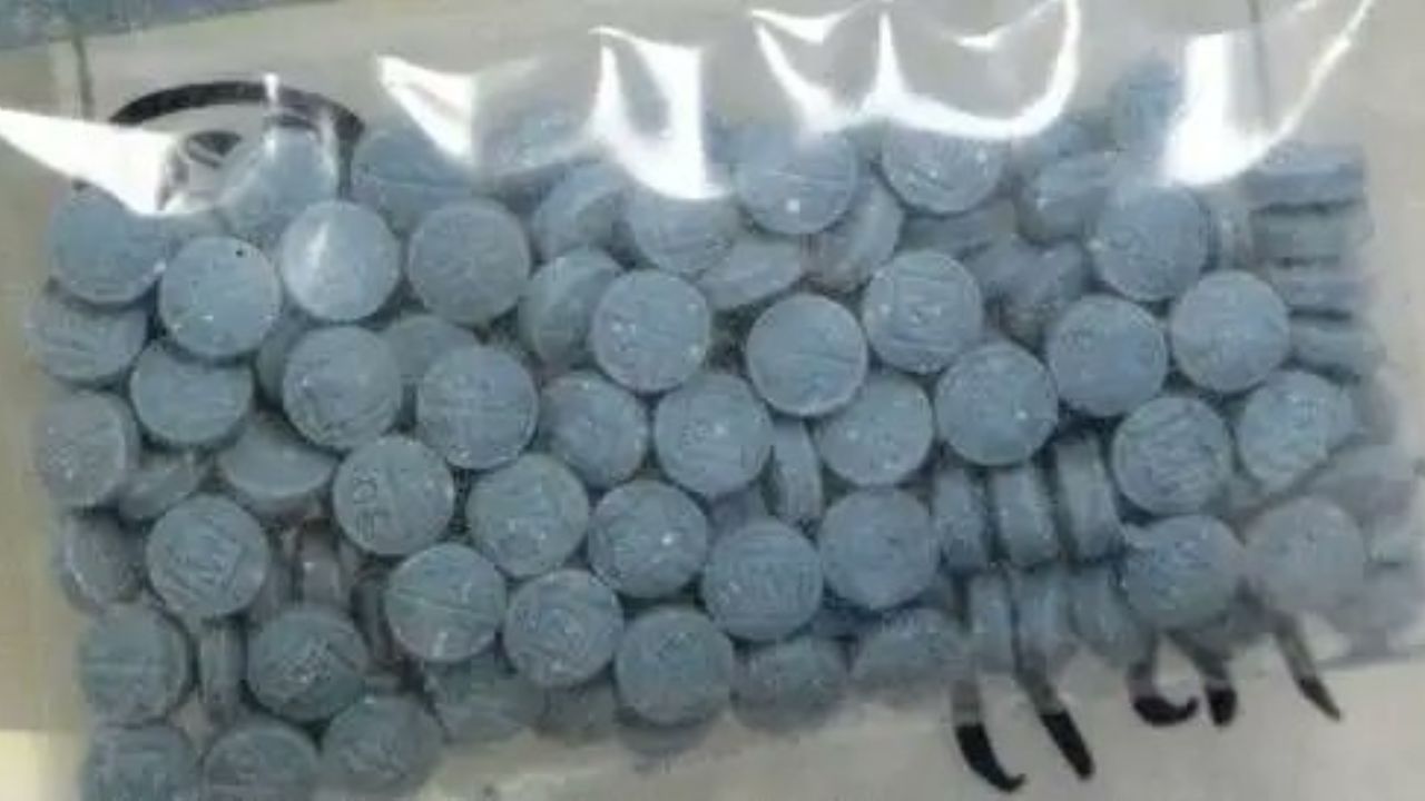 Sheinbaum reacciona al decomiso histórico de fentanilo en EU: “Tiene que hacer su parte”