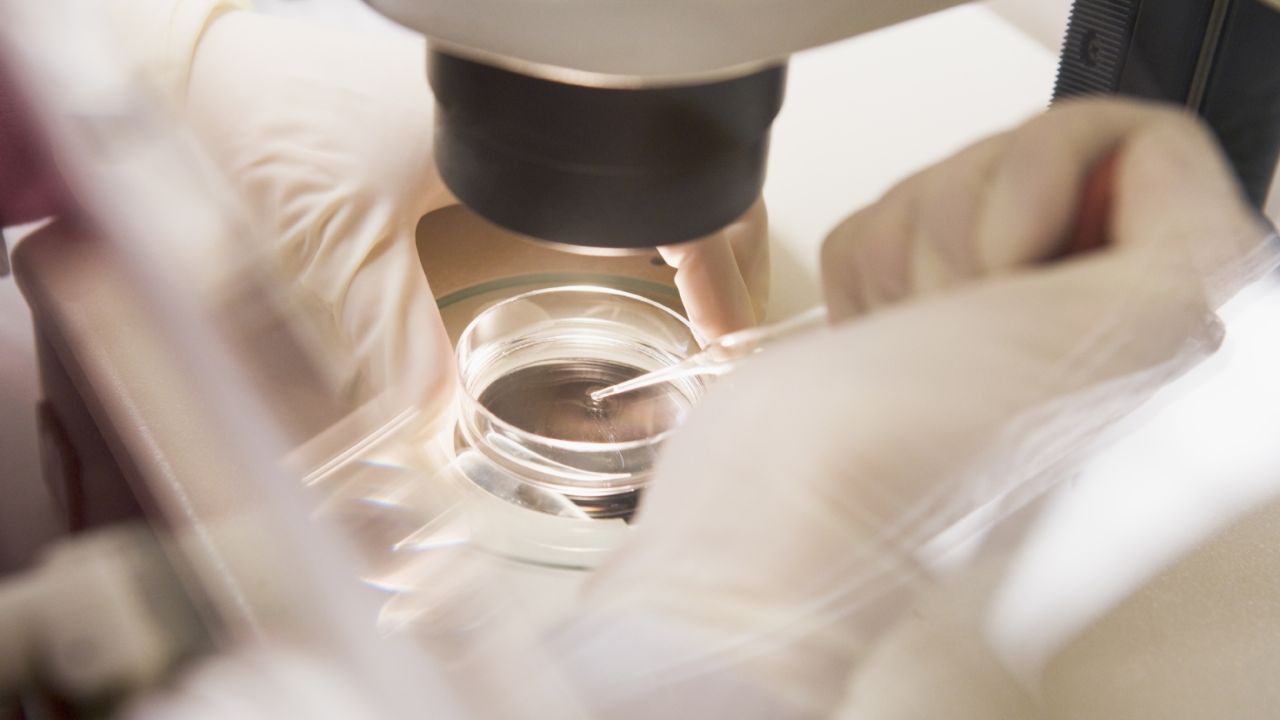 La infertilidad, el desafío que enfrentan millones de parejas mexicanas