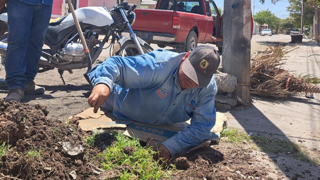 Oomapas Navojoa registra hasta 60 reportes por tomas clandestinas al mes