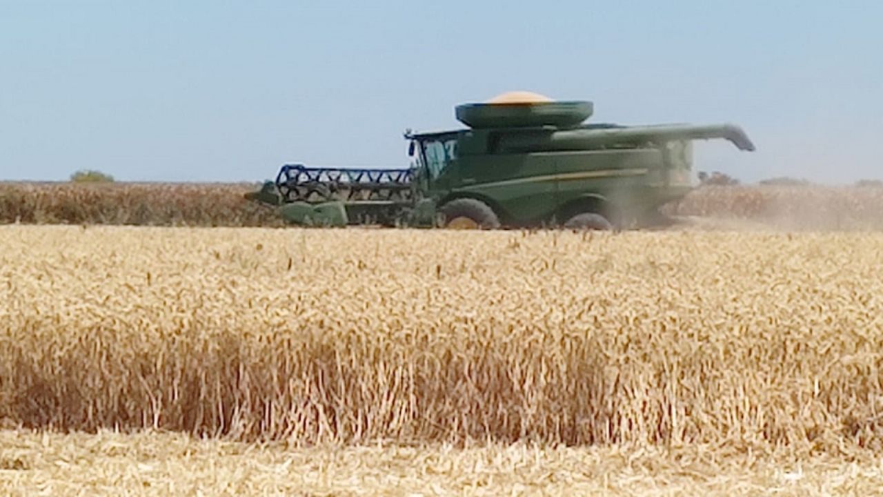 Positivas gestiones del gobernador Alfonso Durazo para fijar precio de referencia: DRRY