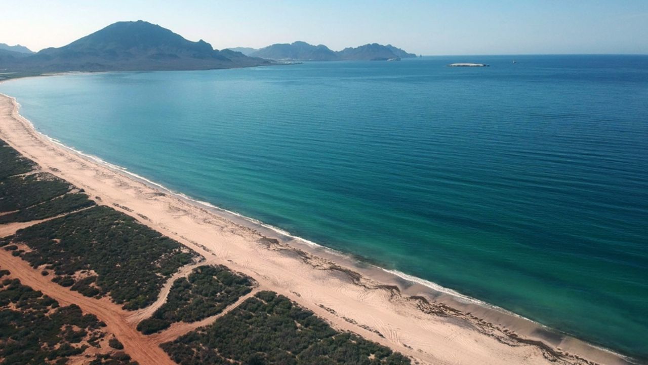 Futuro malecón marcará un cambio para San Carlos, aseguran prestadores de servicios