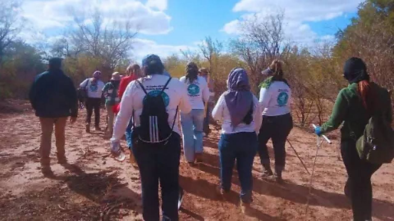 Buscadoras por la Paz Sonora invita a sumarse a jornada de búsqueda en la entidad