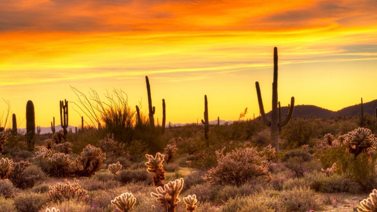 Hermosillo tendrá día soleado y máximas de 35°C este sábado 17 de mayo: ¡Toma precauciones!