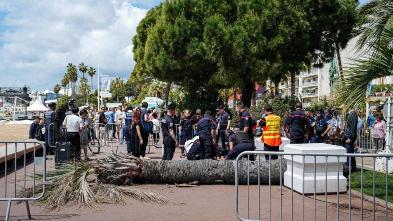Fuerte accidente en Festival de Cannes 2025: Hombre resulta herido tras caída de palmera