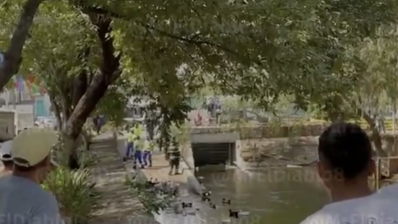 VIDEO: Mujer sale a caminar y encuentra a un hombre muerto en canal de Iztapalapa