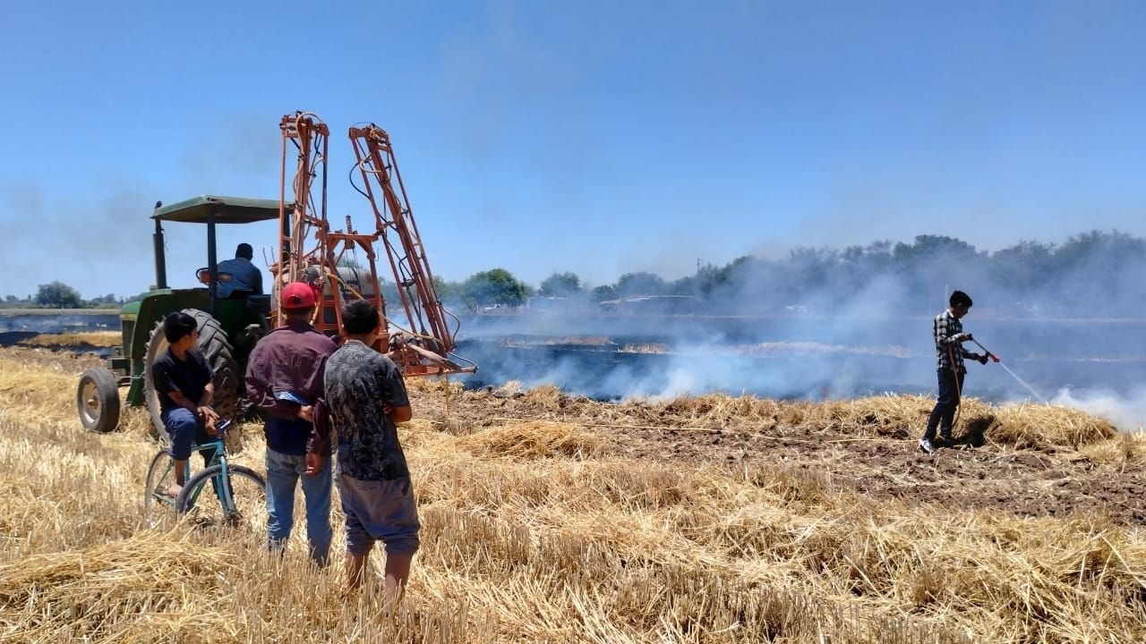 Quema de gavilla, un riesgo constante para las familias rurales en Etchojoa