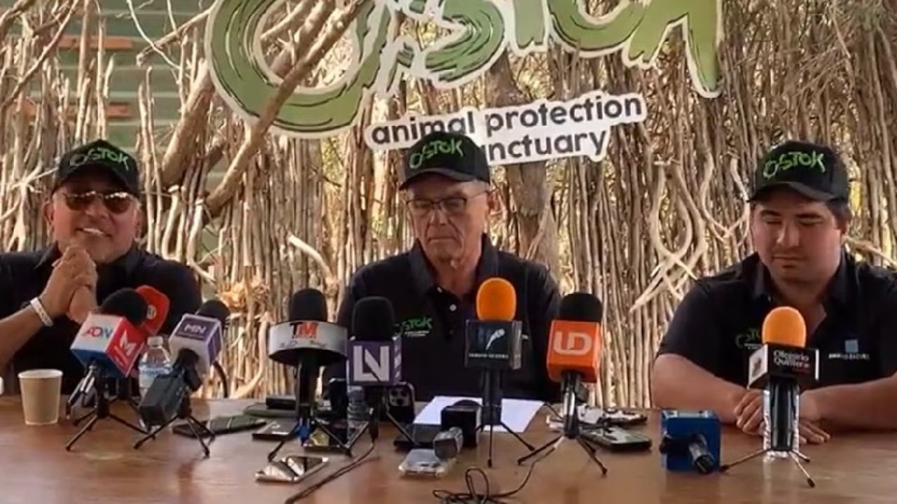 Santuario Ostok cierra sus puertas por violencia en Culiacán, animales son enviados a Mazatlán