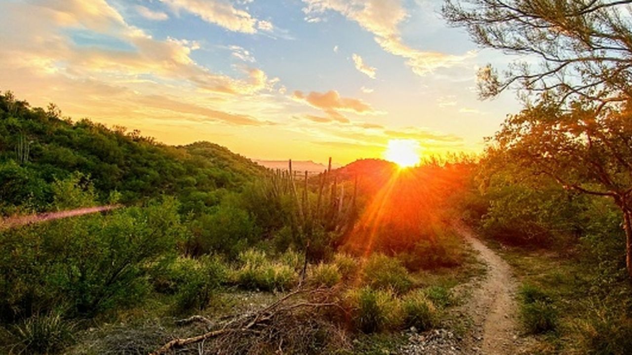 Clima en Sonora: Conagua advierte onda de calor y baja probabilidad de lluvia HOY 24 de mayo