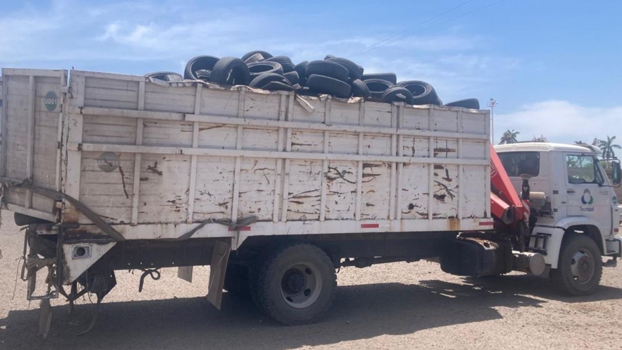 Cajeme se encuentra libre de dengue, zika y chikungunya, afirman autoridades