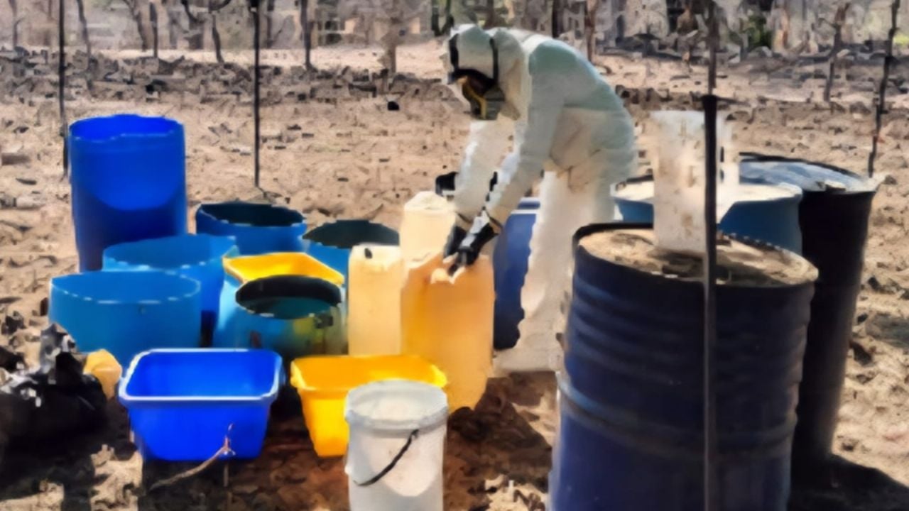 Desmantelan nueve laboratorios clandestinos en Sinaloa; incautan 160mdp en químicos