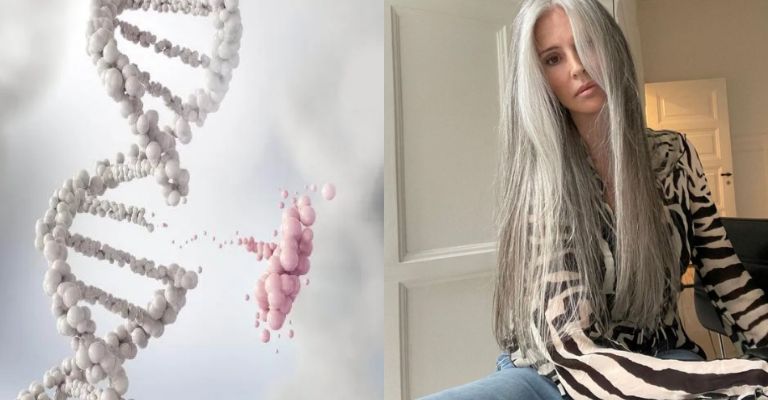 La genética influye en la calidad de vida y el envejecimiento