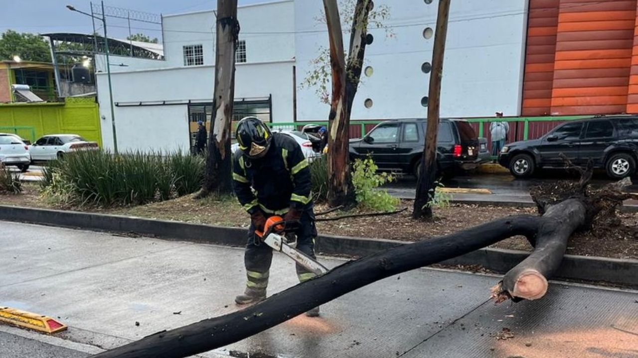 Caos en CDMX: Lluvias provocan inundaciones y caída de árboles; ¿cómo será el clima HOY?