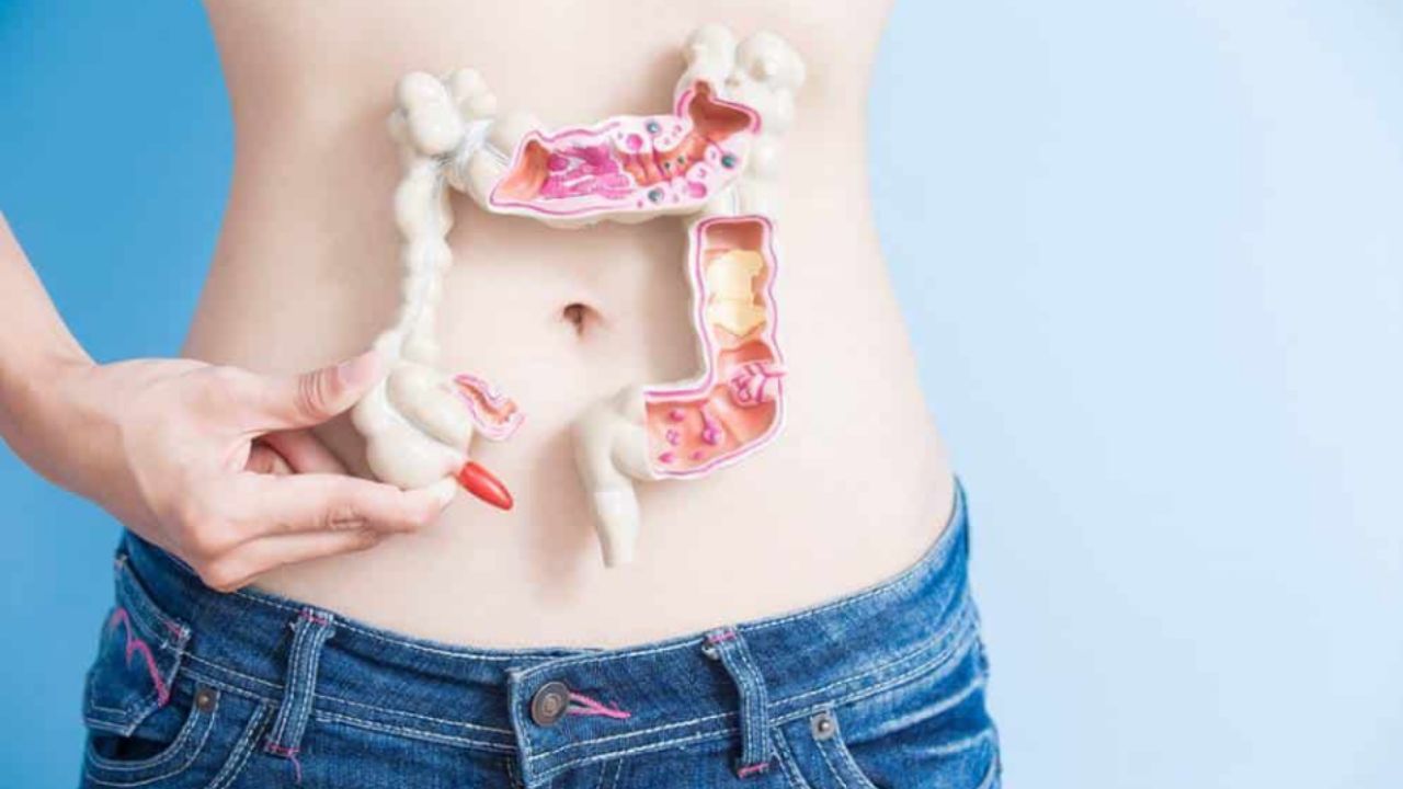 Celebra el Día Mundial de la Salud Digestiva: Guía para una buena digestión