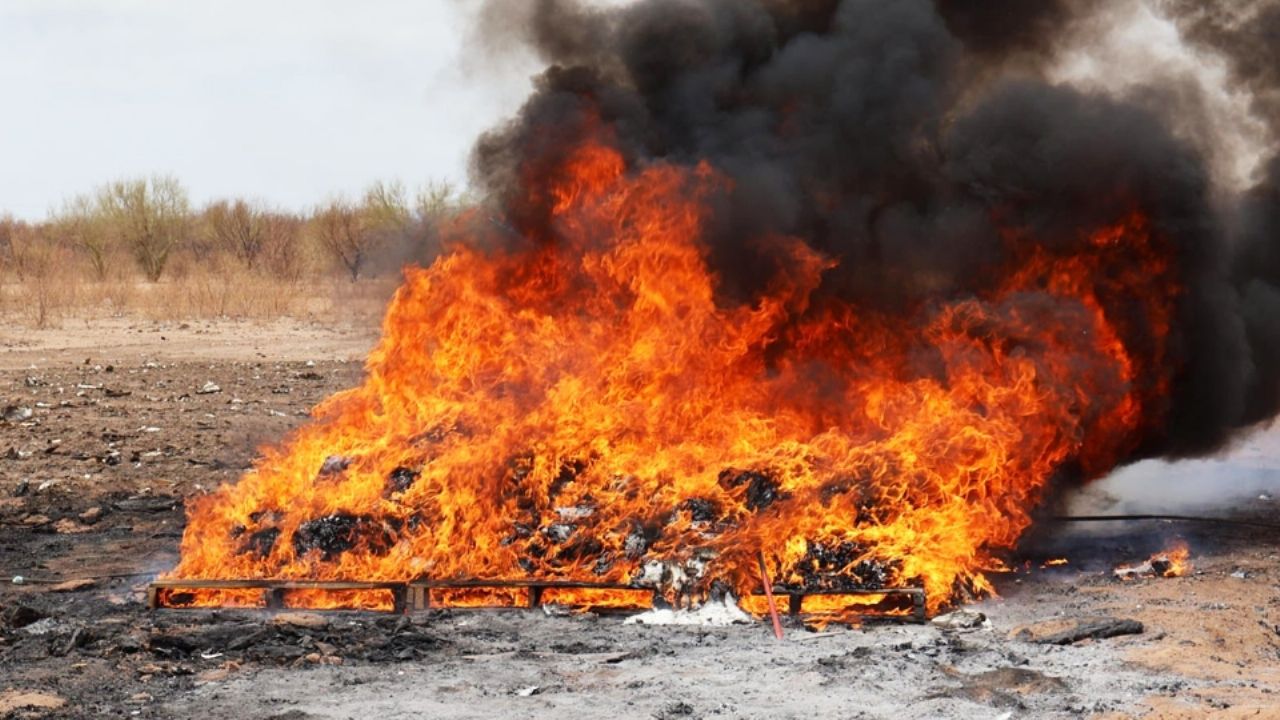 Destruyen 245 kilos de drogas en Hermosillo; fueron decomisados al crimen organizado