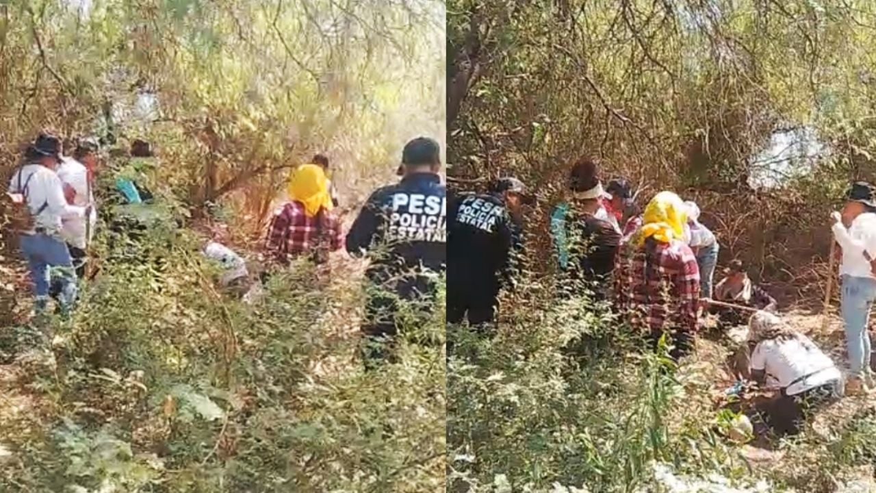 Guerreras Buscadoras hallan tres osamentas y camioneta abandonada en San Ignacio Río Muerto