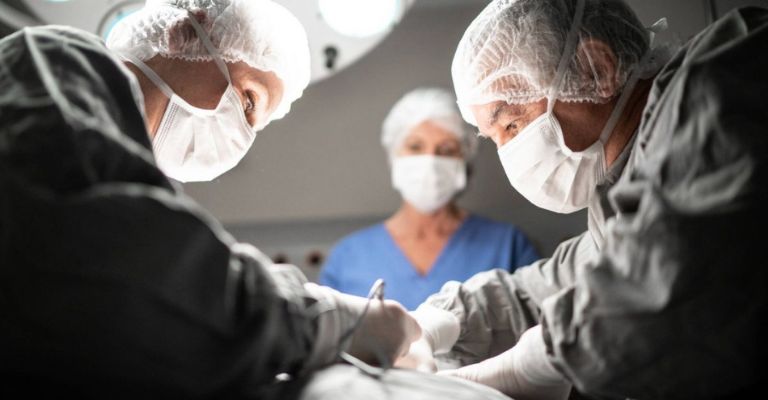 Donación de órganos