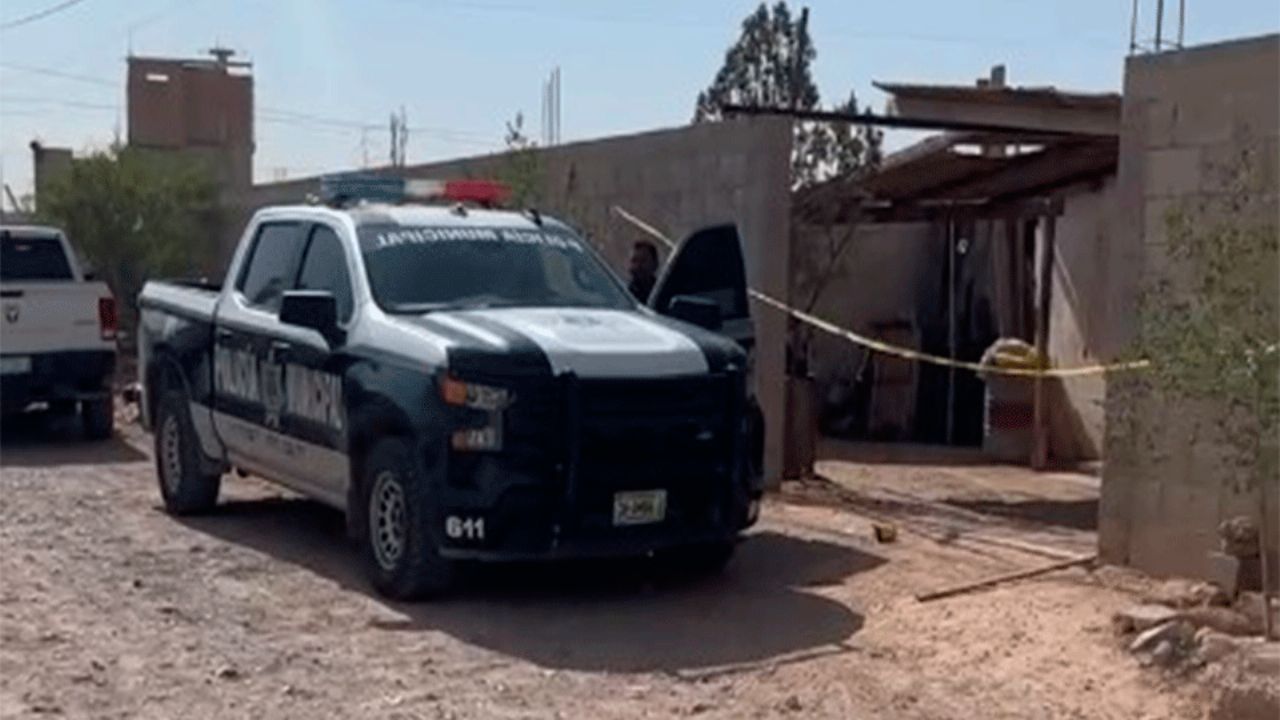 Hallazgo macabro en Chihuahua: Perro lleva cráneo humano hasta su casa en Ciudad Juárez