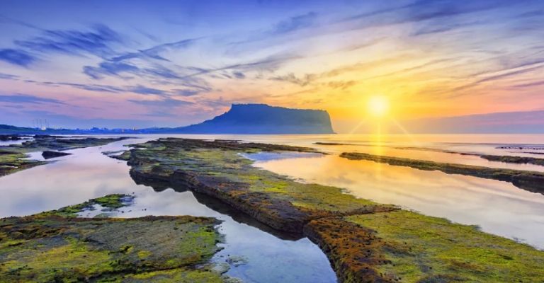 Cuál es el origen del Día del Medio Ambiente y porqué se celebra el 5 de junio