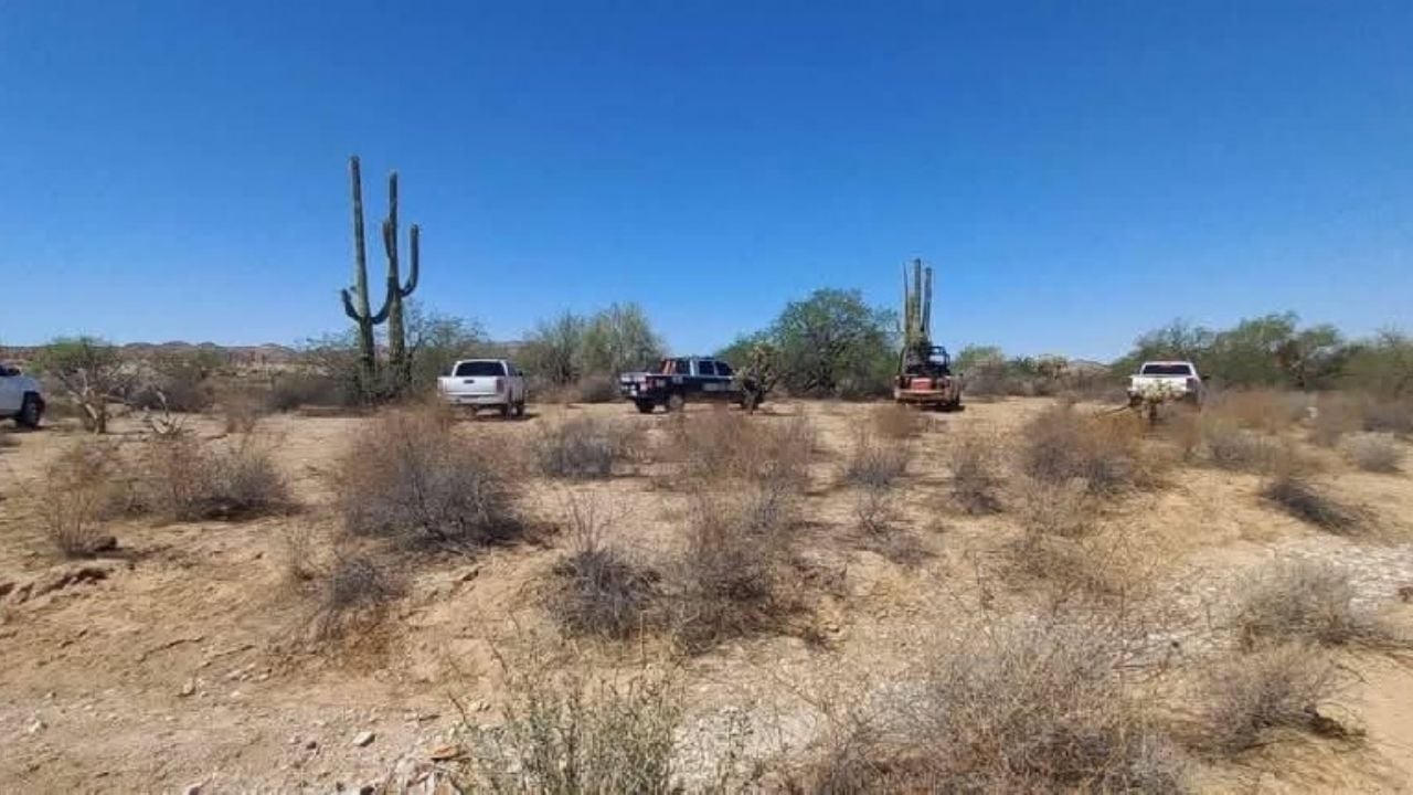 Colectivos de búsqueda unidos localizan 12 osamentas en Norte de Sonora por cuarto día