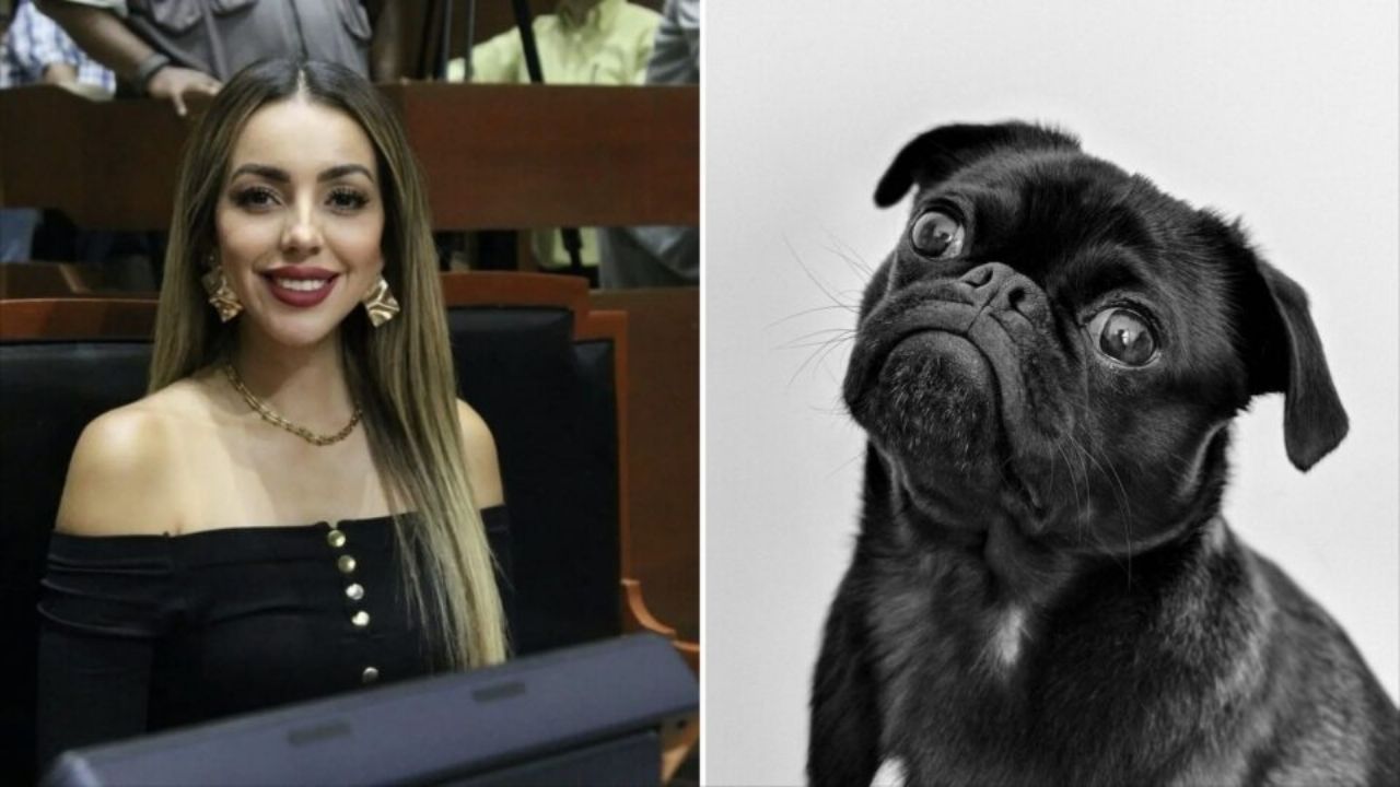 Exfuncionaria de Guadalajara confiesa sacrificio animal con fines religiosos