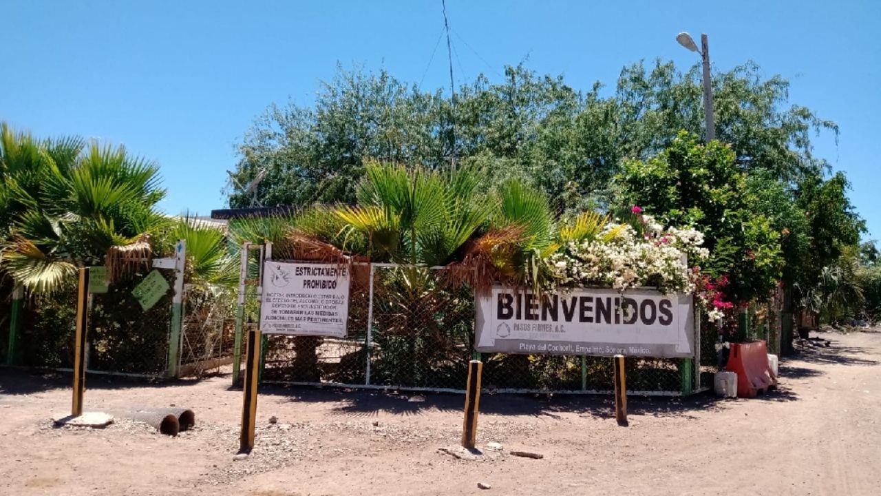 DAER está al ‘tope’ de personas con problemas de drogadicción en Guaymas