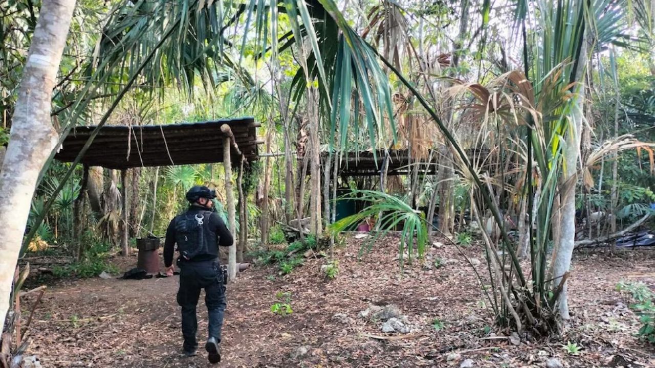 Desmantelan laboratorio y aseguran químicos para metanfetaminas en Quintana Roo