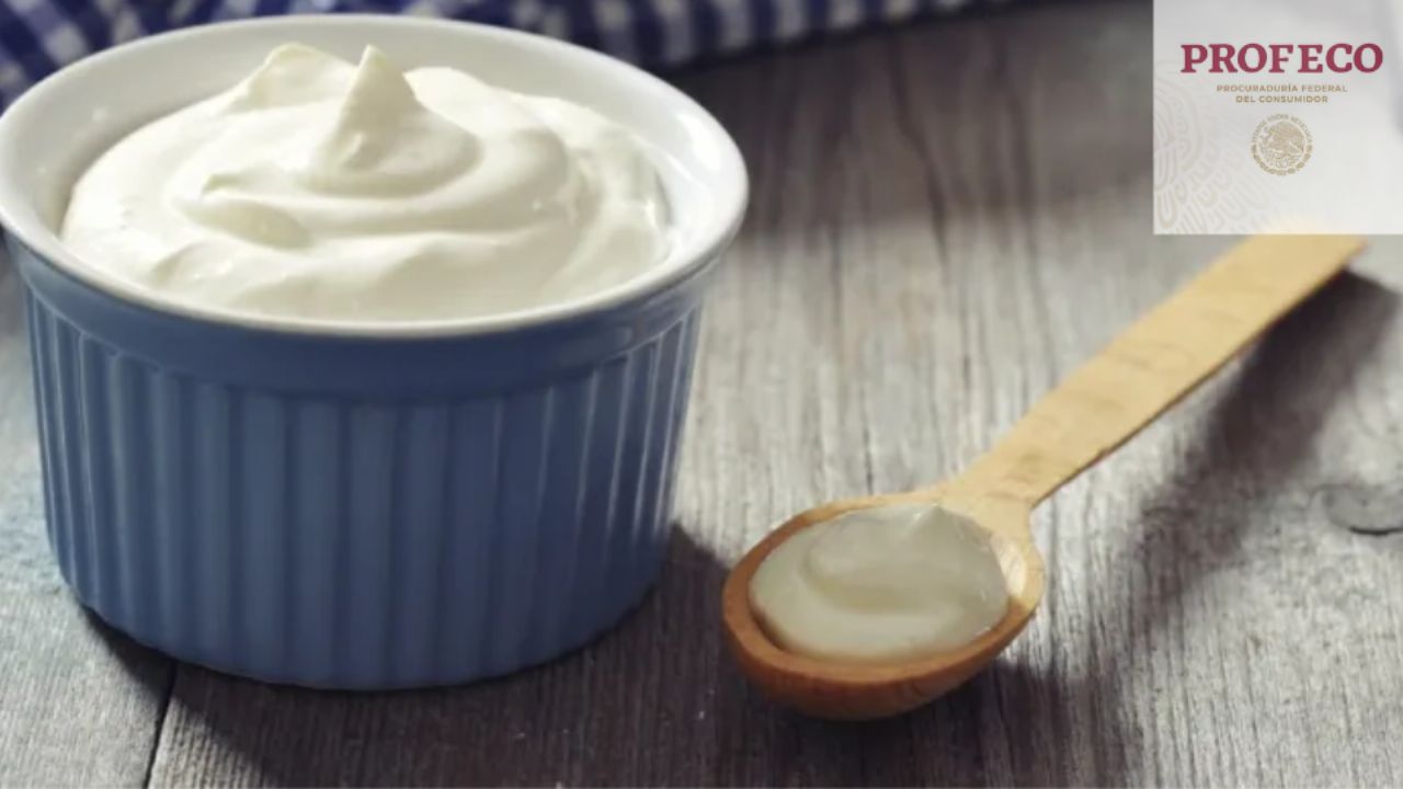 ¿Qué yogurt natural comprar? Profeco elige al mejor de todos