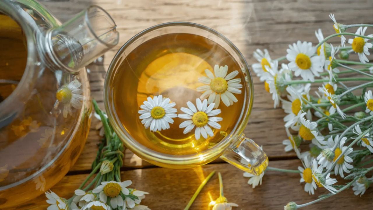 Propiedades curativas de la manzanilla: Beneficios y formas de usarla
