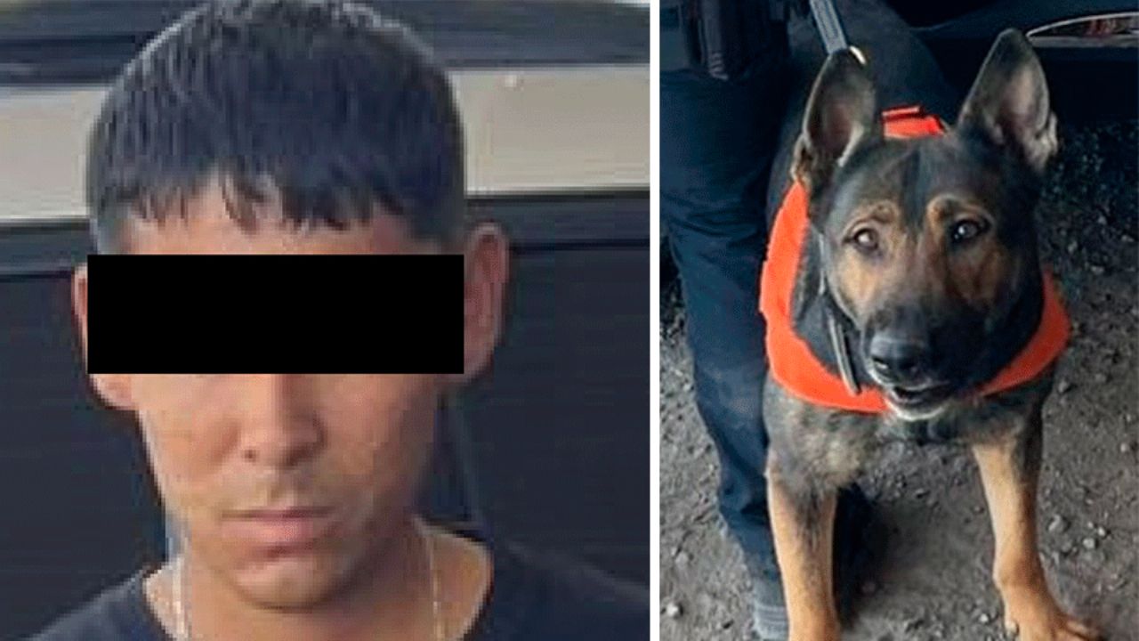 Detectan 60 envoltorios con narcóticos en Hermosillo con apoyo de canino de la SSP Sonora