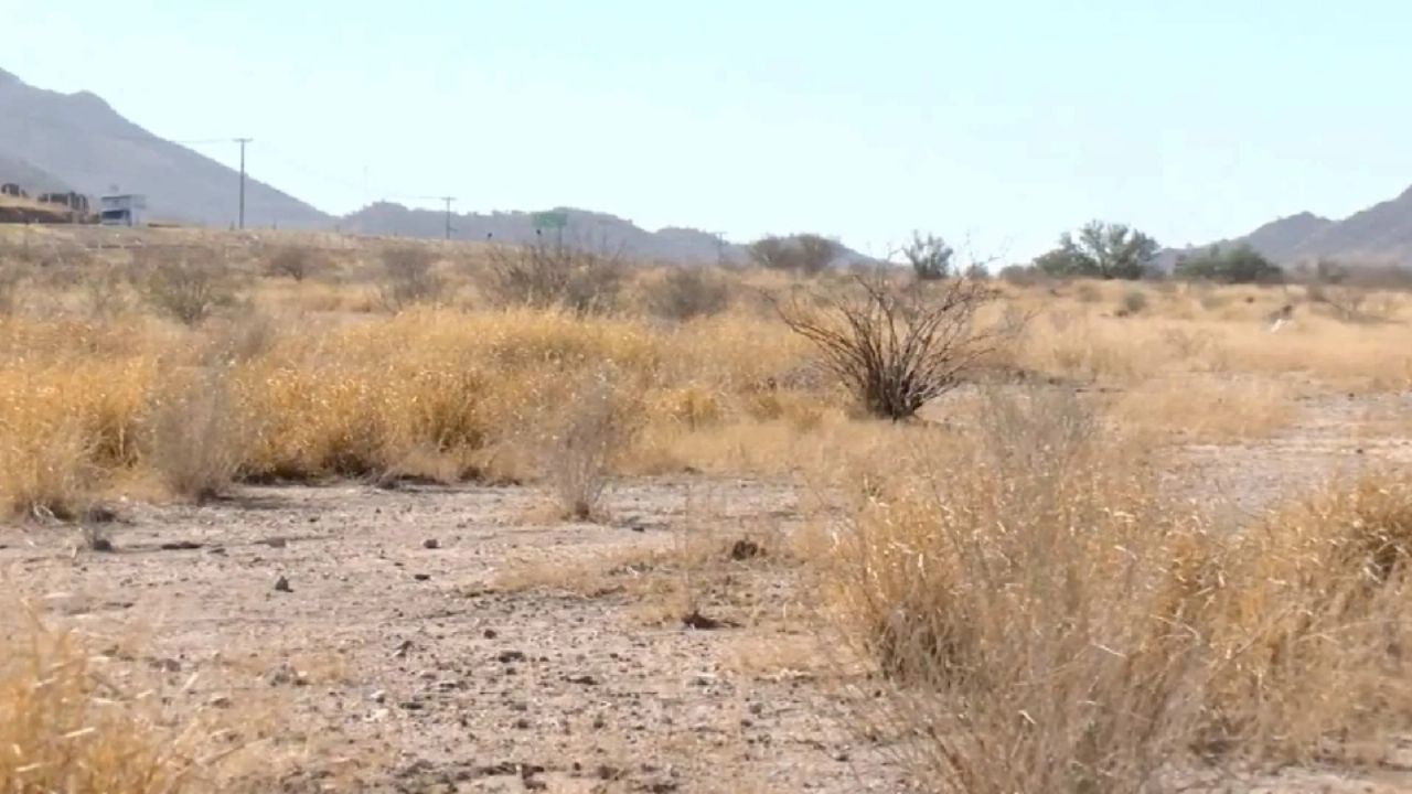 Le apuestan agricultores a sobrevivir; hay inseguridad en el campo por desempleo: Alcano